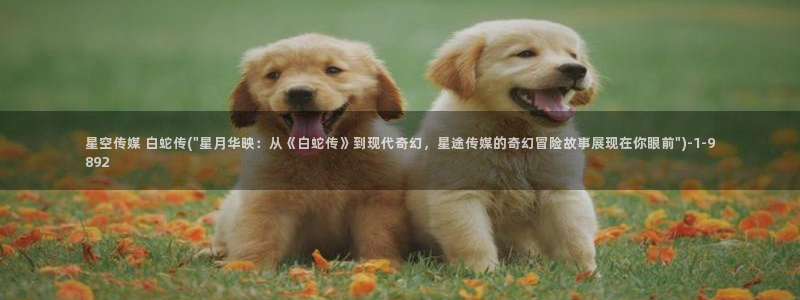 刘洁星空传媒：星空传媒 白蛇传(\