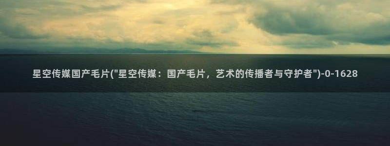 无限星空传媒app下载：星空传媒国产毛片(\