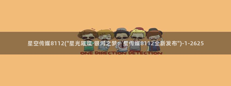 完美星空传媒收入：星空传媒8112(\